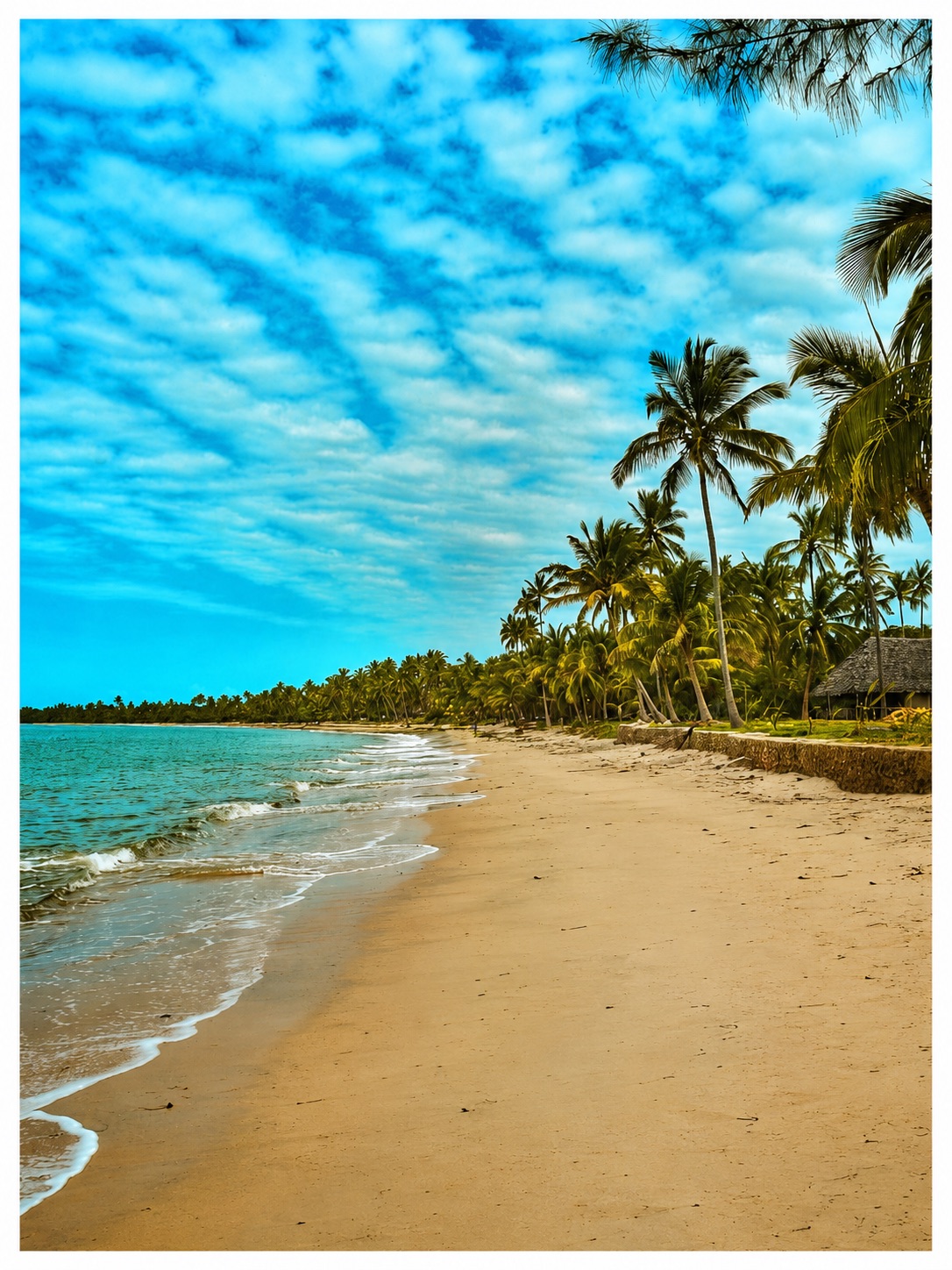 Long sandy beach lined with coconut palms and a makuti roof