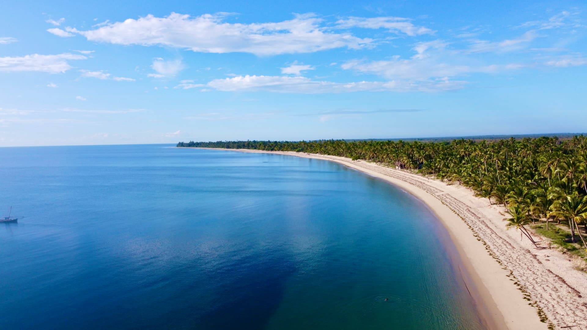 Aerial view of the curving bay, white sand and endless palm forest