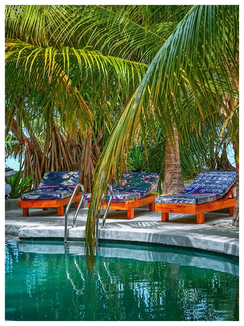 Sun loungers with patterned cushions beside the pool in palm shade