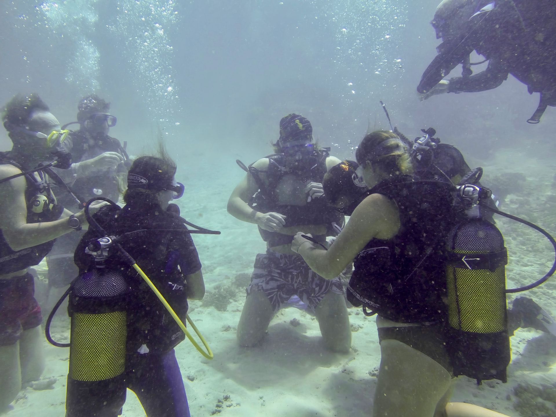 Divers gathered on the sandy seabed during a reef dive off Ushongo