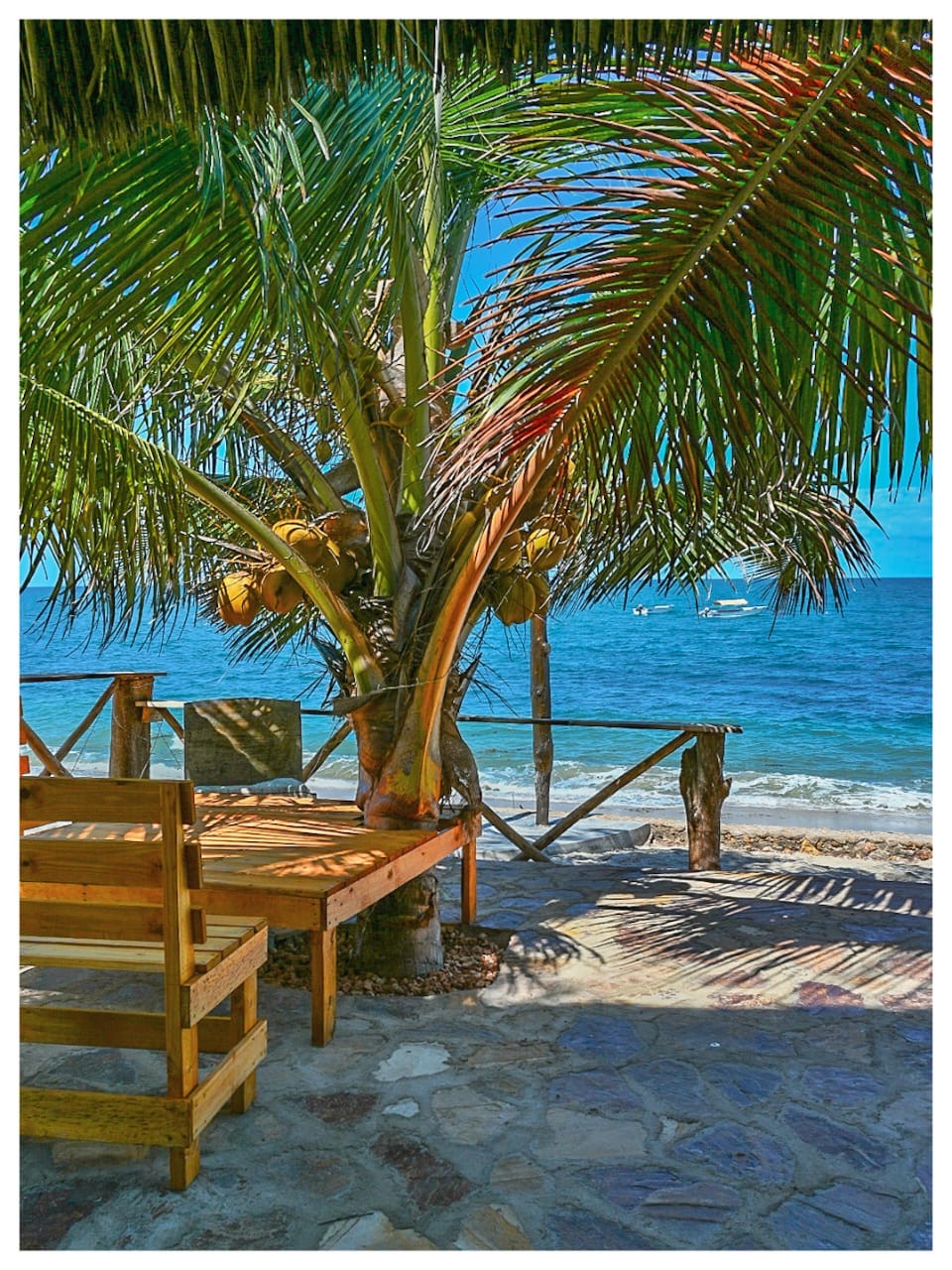 Coconut palm and wooden benches on the stone terrace above the beach