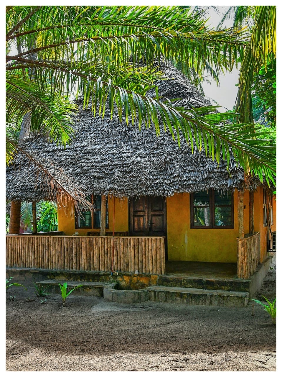 Mvuvi bungalow with makuti roof and wooden veranda among palms