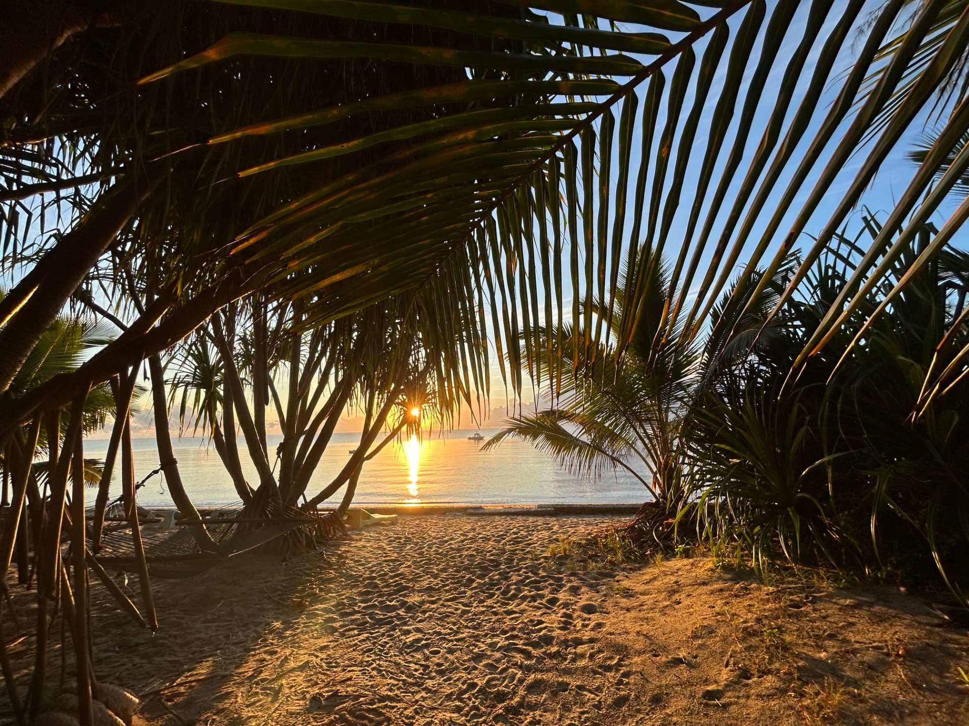 Sunrise over the ocean seen through palms from the beach at Mawimbi